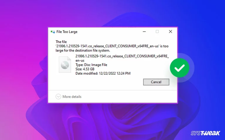 File-Is-Too-Large-for-Destination-File-System-Error